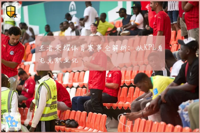 王者荣耀体育赛事全解析：从KPL看电竞职业化