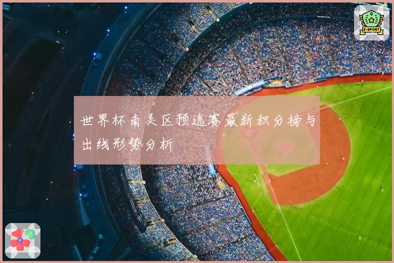 世界杯南美区预选赛最新积分榜与出线形势分析