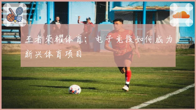 王者荣耀体育：电子竞技如何成为新兴体育项目