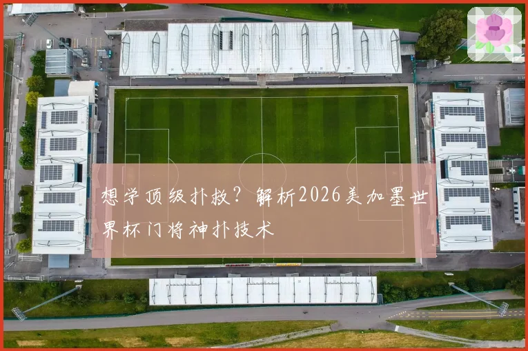 想学顶级扑救？解析2026美加墨世界杯门将神扑技术